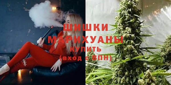 ГАЛЛЮЦИНОГЕННЫЕ ГРИБЫ Баксан