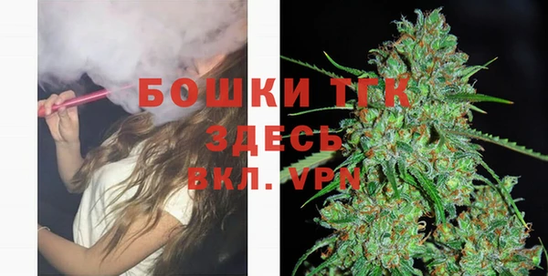ГАЛЛЮЦИНОГЕННЫЕ ГРИБЫ Баксан